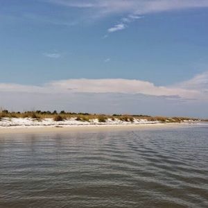 Meet your Posher, Ginger